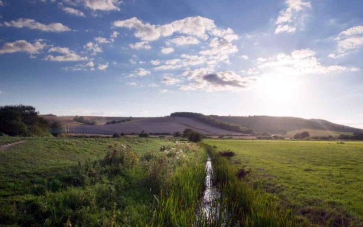Területalapú támogatás: mire kell fókuszálni?
