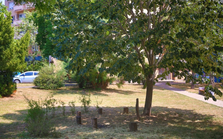 Versenyben a Cimbora fa, rangos elismeréshez segíthetjük hozzá a szavazatunkkal