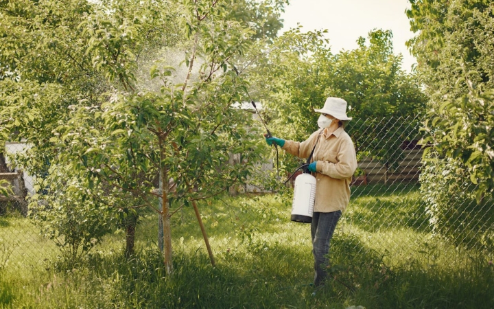 A növényvédelemhez permetező is kell!