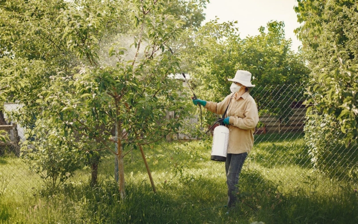 A növényvédelemhez permetező is kell!
