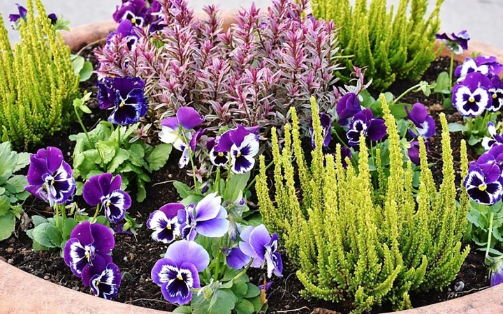 Még lehet nevezni a lakossági virágosítási versenyre!