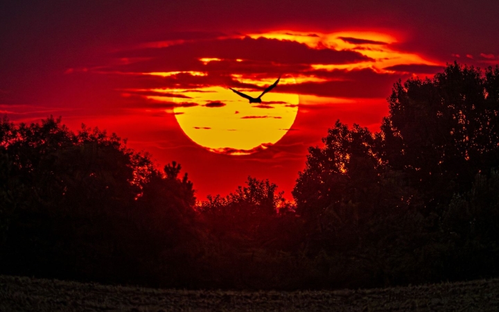 Frissebb kezdés után tikkasztó, vad kánikula