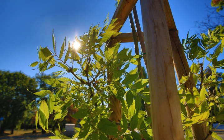 Gondozni kell a növényeket, locsolni és karbantartani a kánikula idején