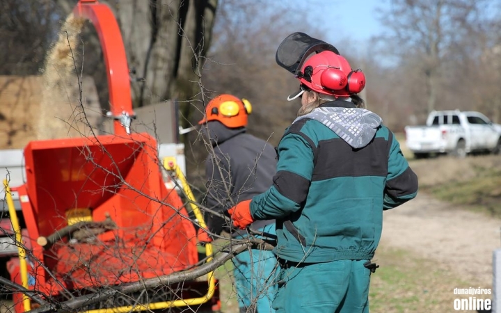 Dolgoznak a város parkjain – és mi is segíthetünk