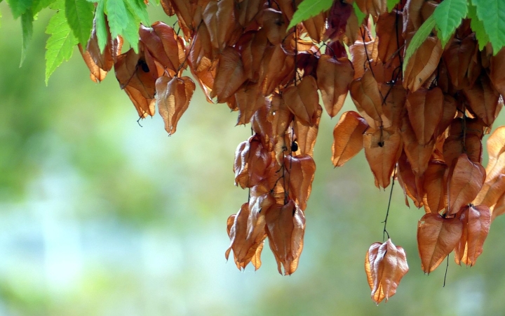 A hűvös, esős napok után kellemes őszi idő várható