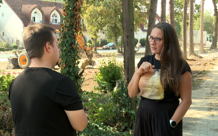 Zsámbok Lili intézményvezetőként folytatja a Szertelen Házban