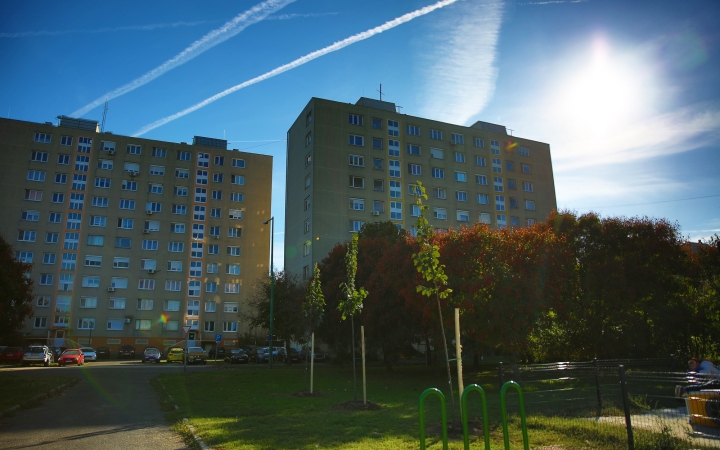 Fákat ültettek a Római játszótéren