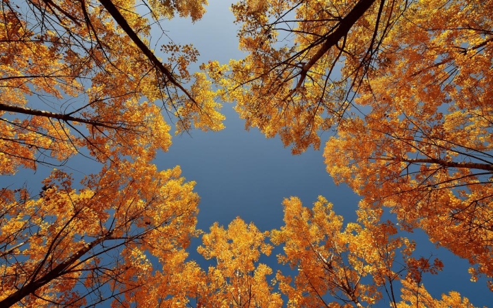 Folytatódik a nyugodt őszi idő a hétvégén is