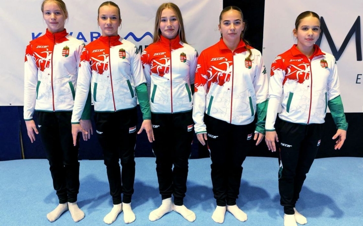 Dunaújvárosi érem Csehországból