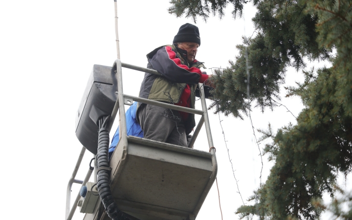 A fenyőfákból karácsonyfák lettek