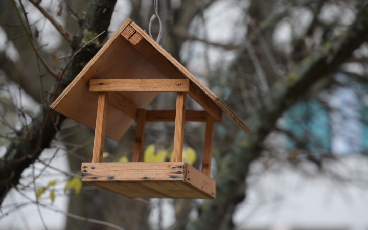 A természet ölelése az arborétum