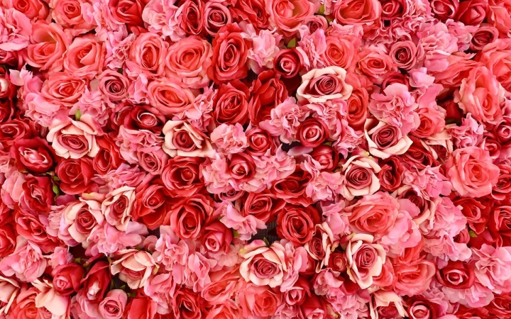 Boldog, szép, virágos nőnapot kívánunk minden hölgy olvasónknak!