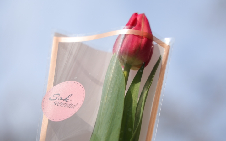 Sűrű és szép nőnap, köszöntőkkel, kavalkáddal (galériával)