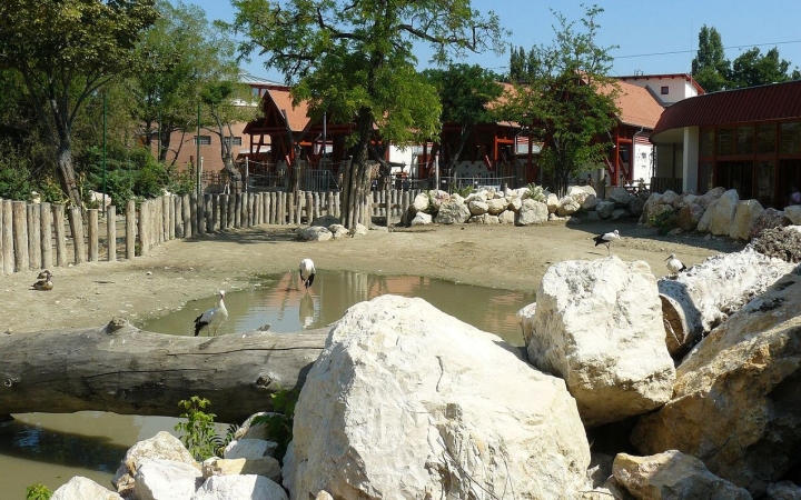 Idén a Szavanna-kifutót újítaná meg a Fővárosi Állatkert