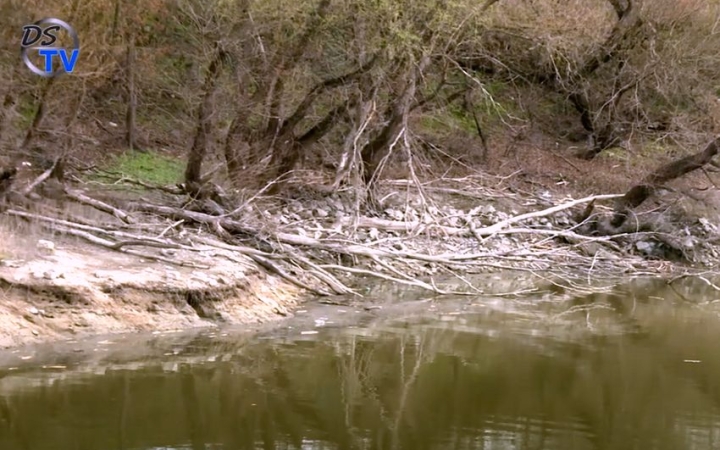 DSTV: haltelepítéssel várták a tavaszt