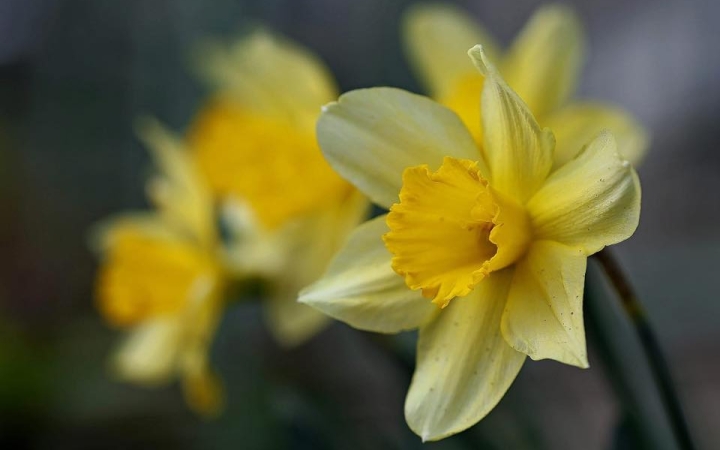 Szeszélyes idővel startol az április – de már igazi tavasz!