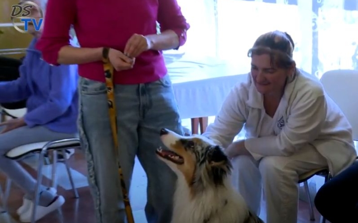 DSTV: kutyusokkal a kórházban