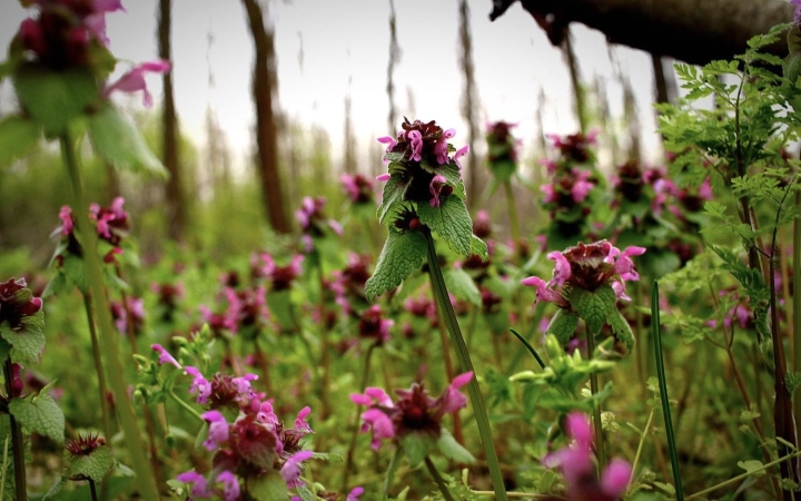Változékony, de néha már-már nyárias napok!