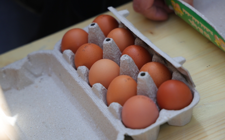 Húsvéti segítség a városlakóknak