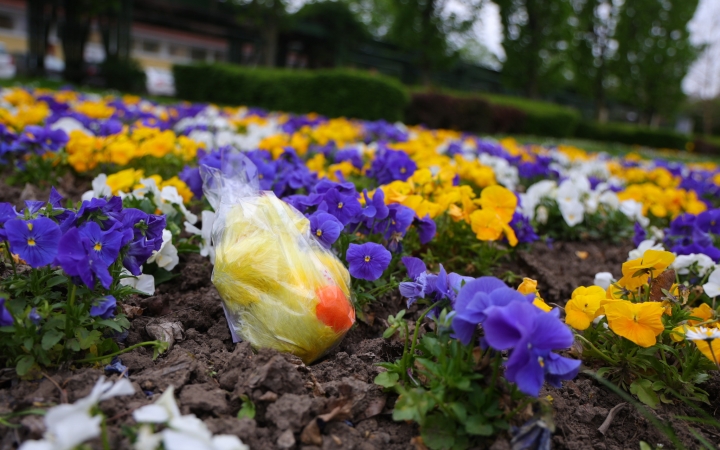 Segítették a nyuszi munkáját