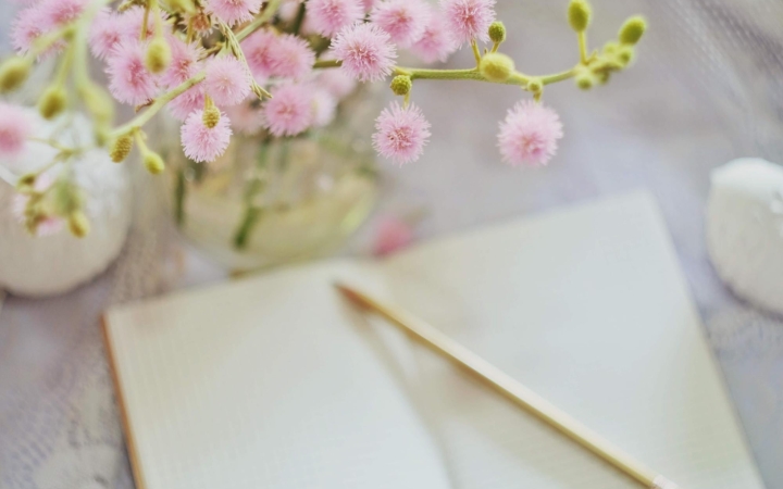 Elég sikeres vagy? - A hálanaplódban találod a választ!