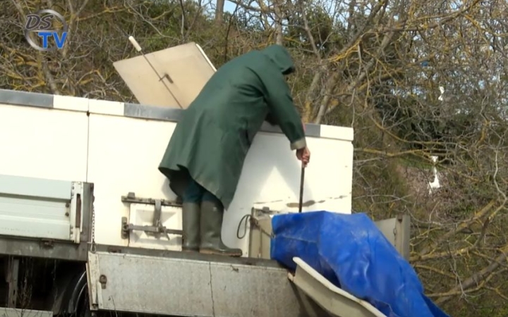 DSTV: húsvéti haltelepítés