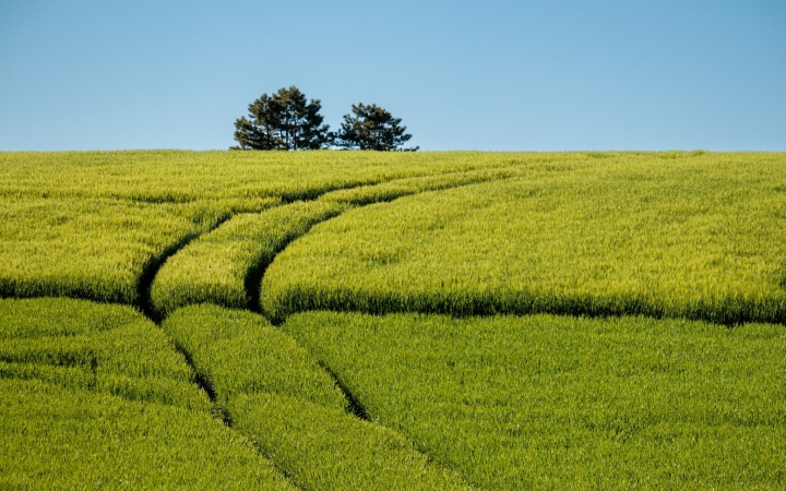 Napos napok után aranyat érő eső érkezhet
