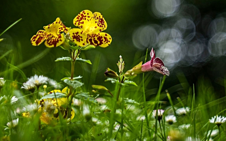 Bőven kapunk az égi áldásból a héten