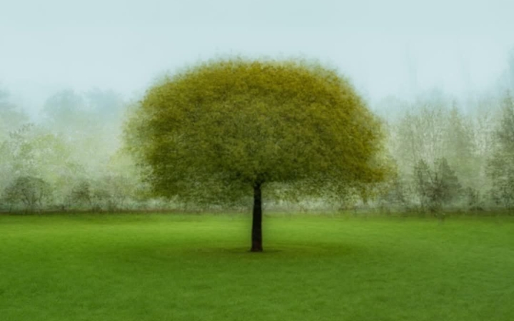 Zöld értékekkel startol a Generációk Háza