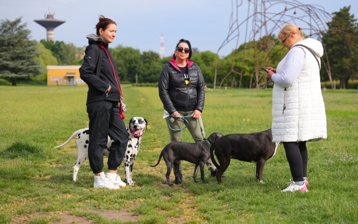 "Ha elmondjuk az elvárásainkat, sérelmeinket, előbbre léphetünk"