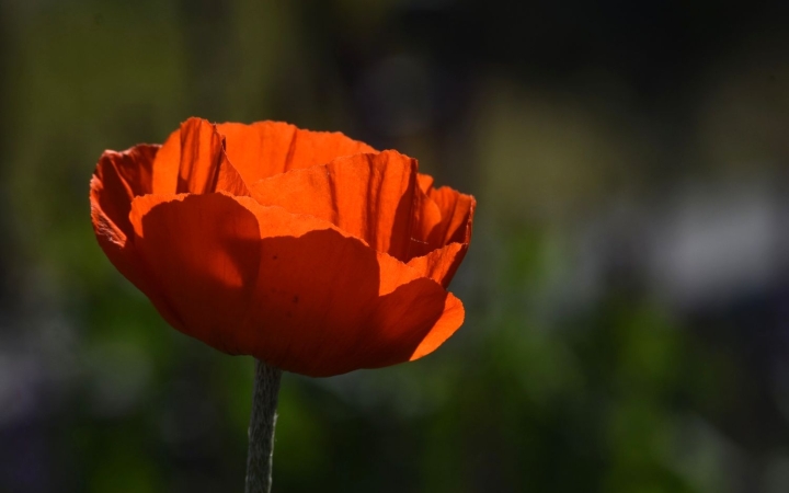 Még mindig változékony, hűvöskés tavasz