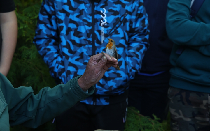 Madárcsicsergős program az arborétumban