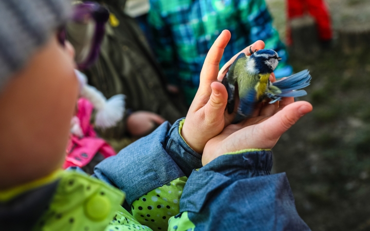 Sajtófotókkal folytatódik a tantermi tárlatok sora a Rostiban