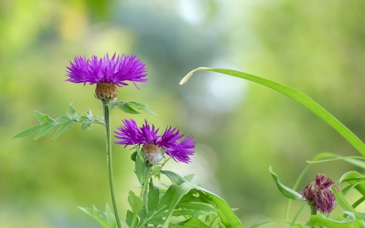 Végre melegedés kezdődik