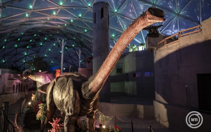 Esti sétákon mutatják be a budapesti állatkert kulisszatitkait