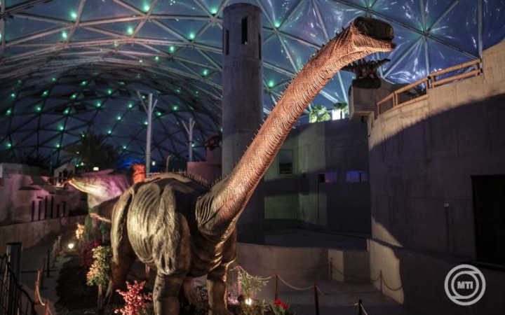 Esti sétákon mutatják be a budapesti állatkert kulisszatitkait