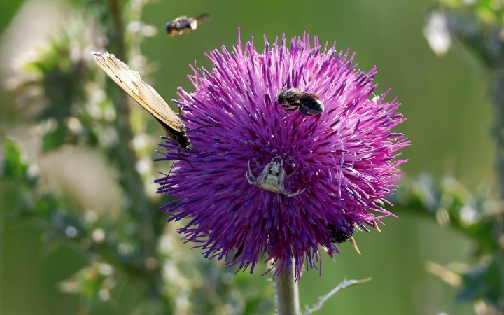 Lassan, de biztosan visszatér a hőség