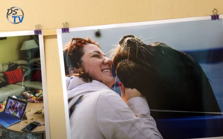 DSTV: újabb fotókiállítás a Rosti iskolában