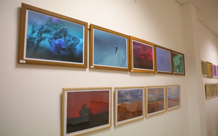 Jótékonysági vándorkiállítás: megérkezett a Civil Házba Simon István fotógyűjteménye