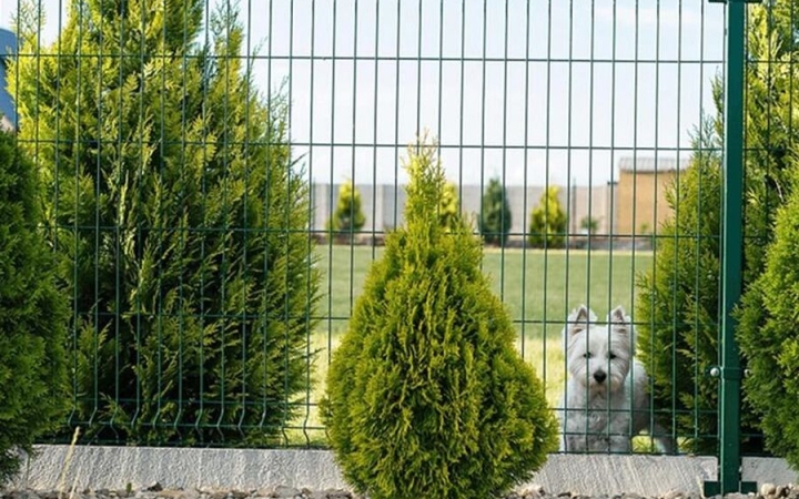 Megbízható védelem minden élethelyzetben: ilyen a jó kerítés