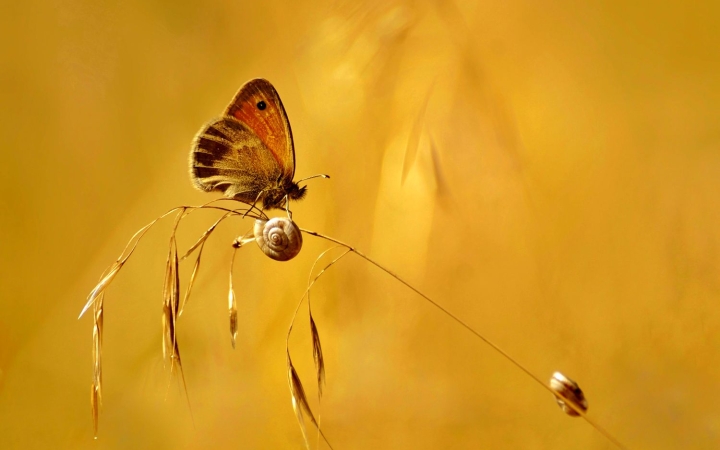 Egész héten forró nyár – apró ingadozásokkal