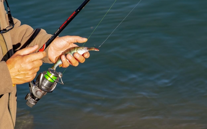 Spiccbot: egyszerű használat a csatornákon