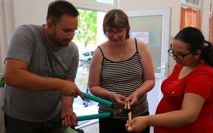 Rovarhotelt építettek a Jószolgálati Otthon lelkes ellátottjai 