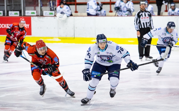 Két hazatérő az Acélbikáknál