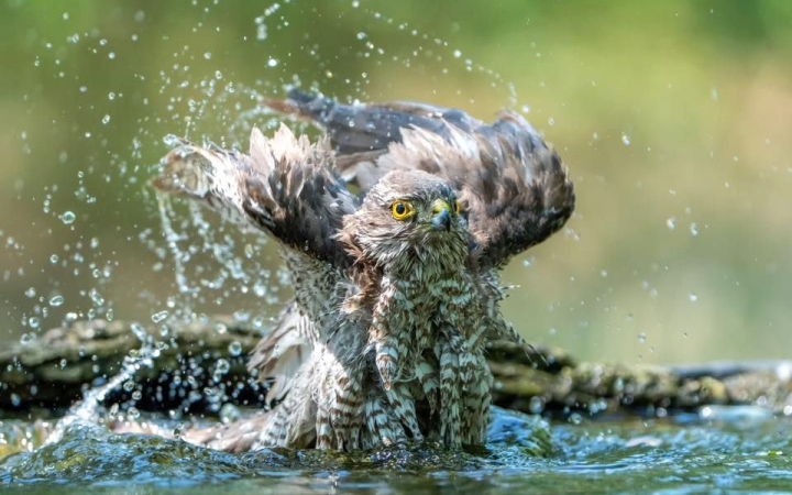 Brutális kánikula következik