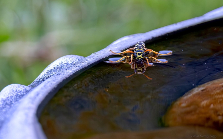 Markáns hidegfront után szeles hét várható
