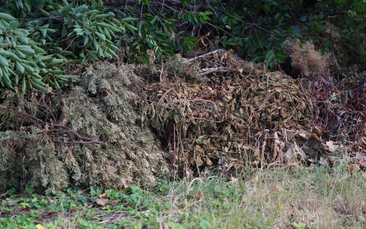 Hegyekben állt a tilosban lerakott zöldhulladék