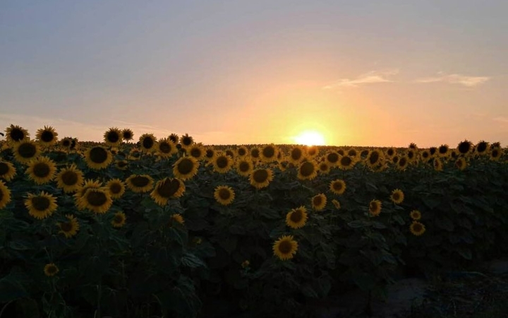 Kánikula, aztán némi lehűlés, a végén megint hőség várható a héten