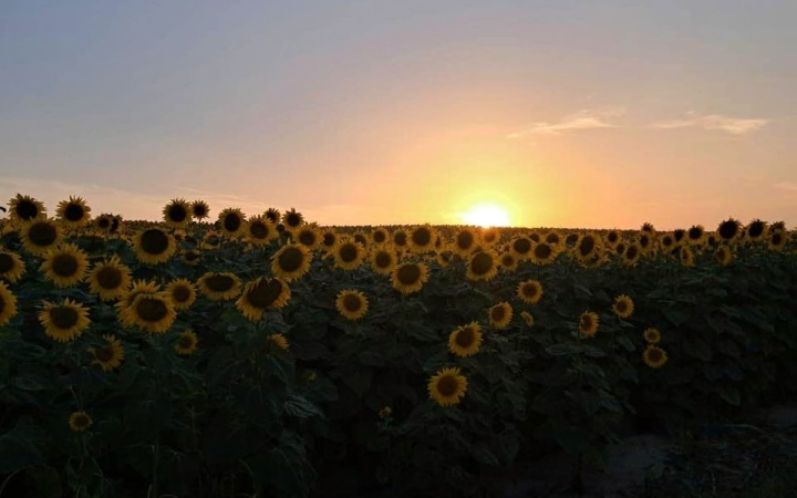 Kánikula, aztán némi lehűlés, a végén megint hőség várható a héten