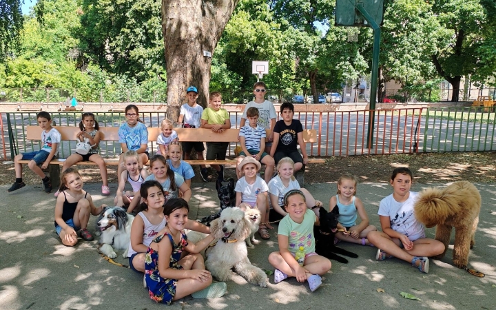 Móricz: elismerés a felelős állattartásért